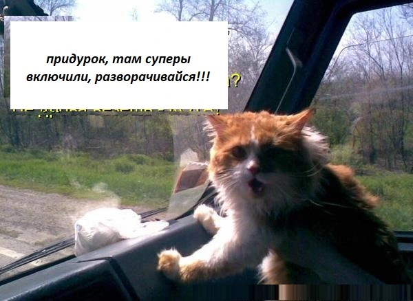 на дачу.webp