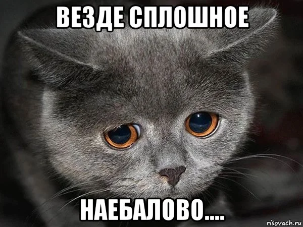 naebalovo_77791548_orig_.webp