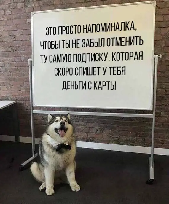 напоминалка.webp