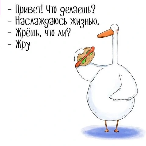 наслаждаюсь жизнью.webp