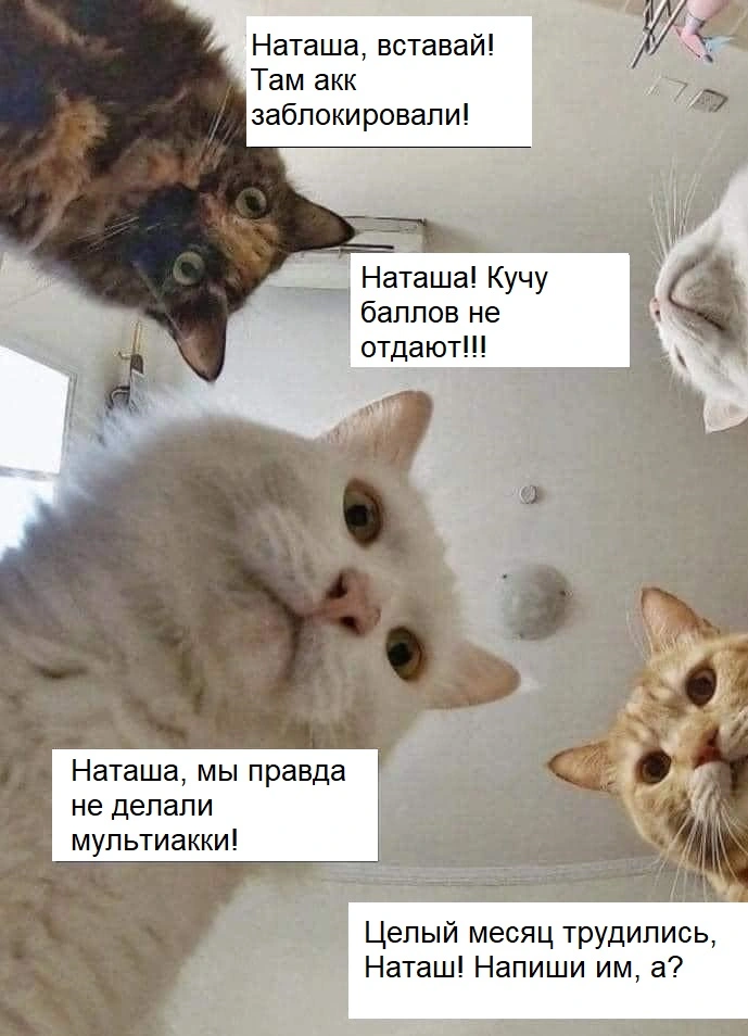 Наташа.webp