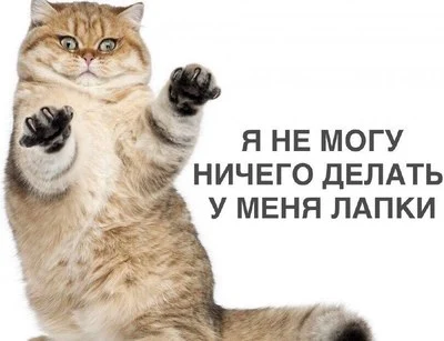 не-могу-ничего-делать-у-меня-лапки.webp