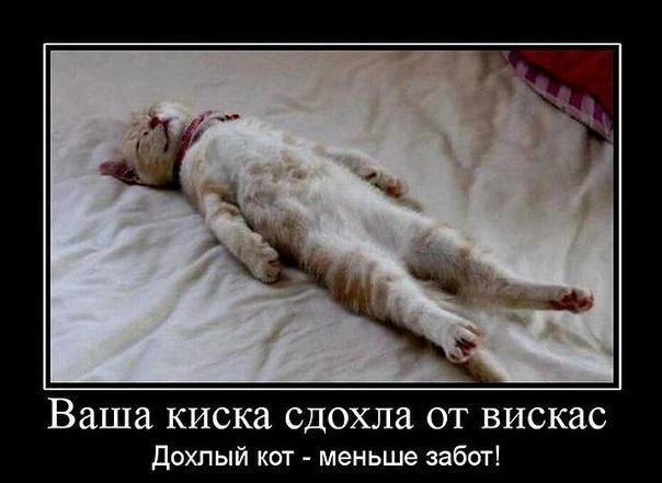 NEMkqPcp25o.webp