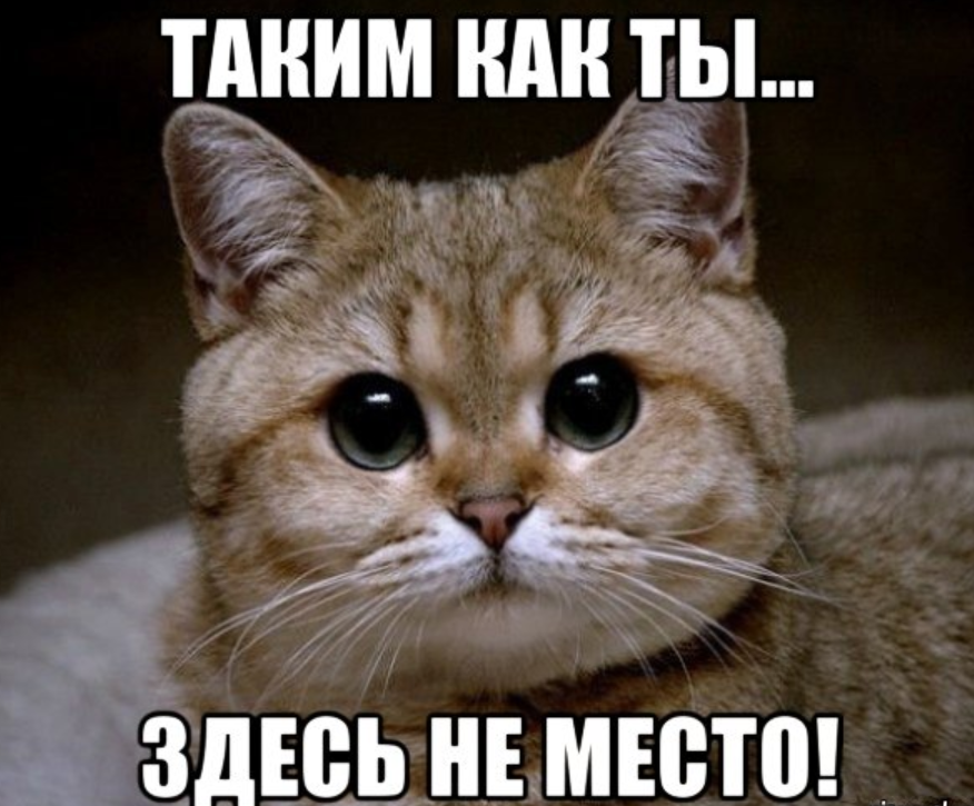 ннннн.webp