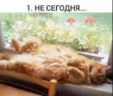 nottoday.webp