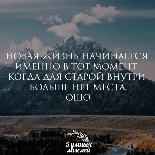 Новое.webp
