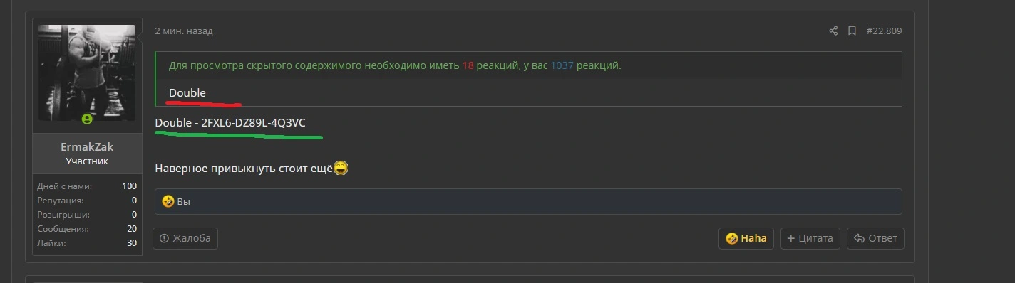Новый точечный рисунок (2).webp