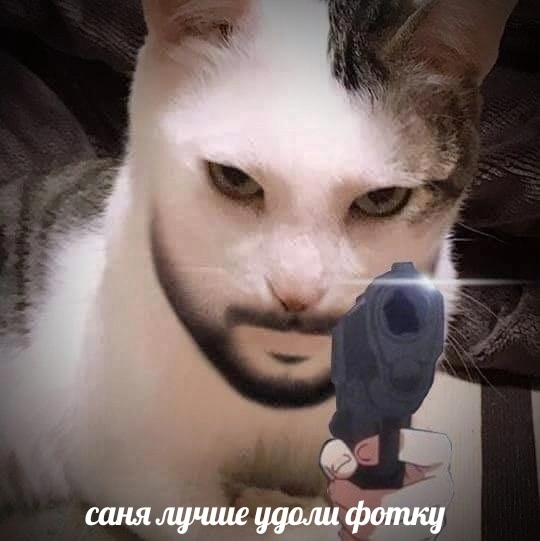 o8DhCaV6kLc.webp
