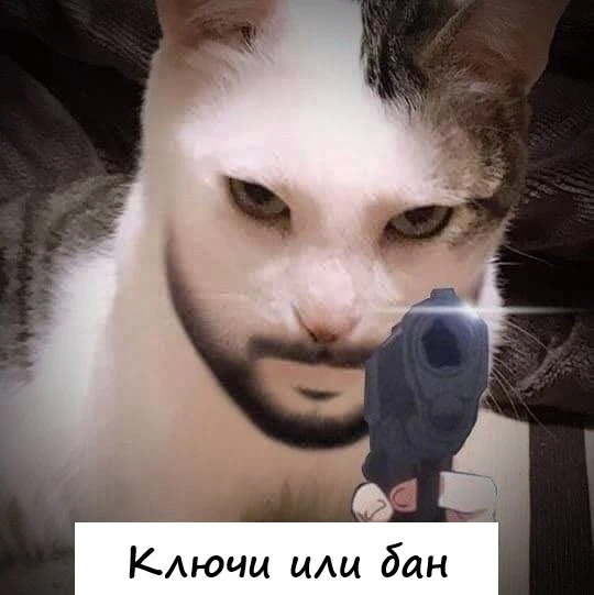 o8DhCaV6kLc.webp