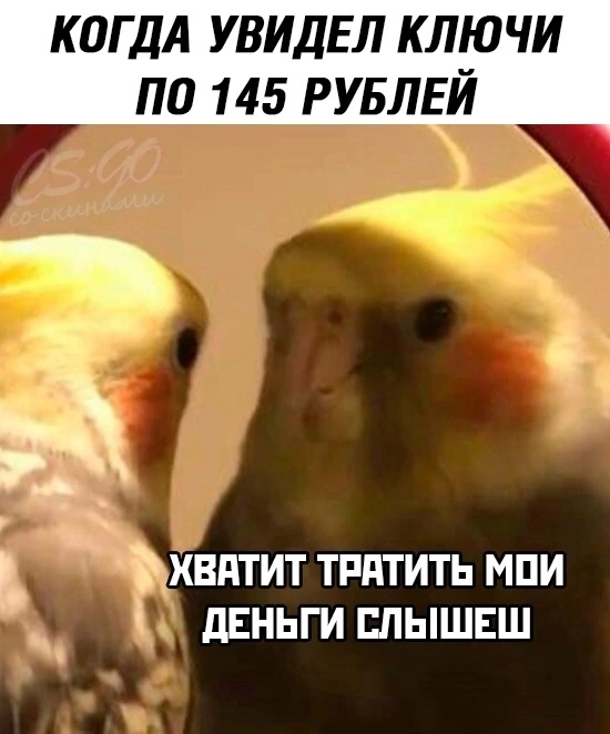 O8uqdbJgtPBlkGEMF36wLOSioAWI9SOdwcd7KybXKy81kc4QydCve5I8vzespXgmAkPK2A3X68PuKKKxPtcqro0m.webp