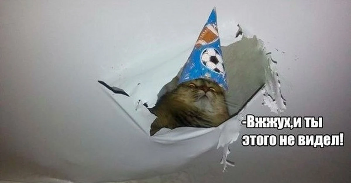 og_og_148149356126947098.webp