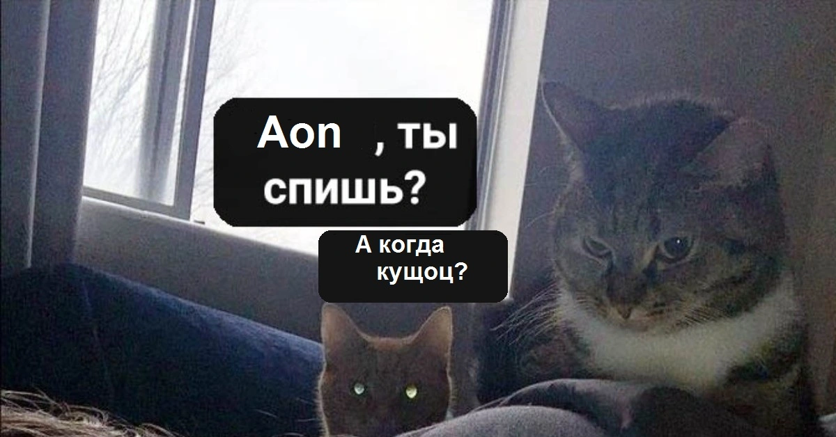 og_og_1576518390291686218.webp