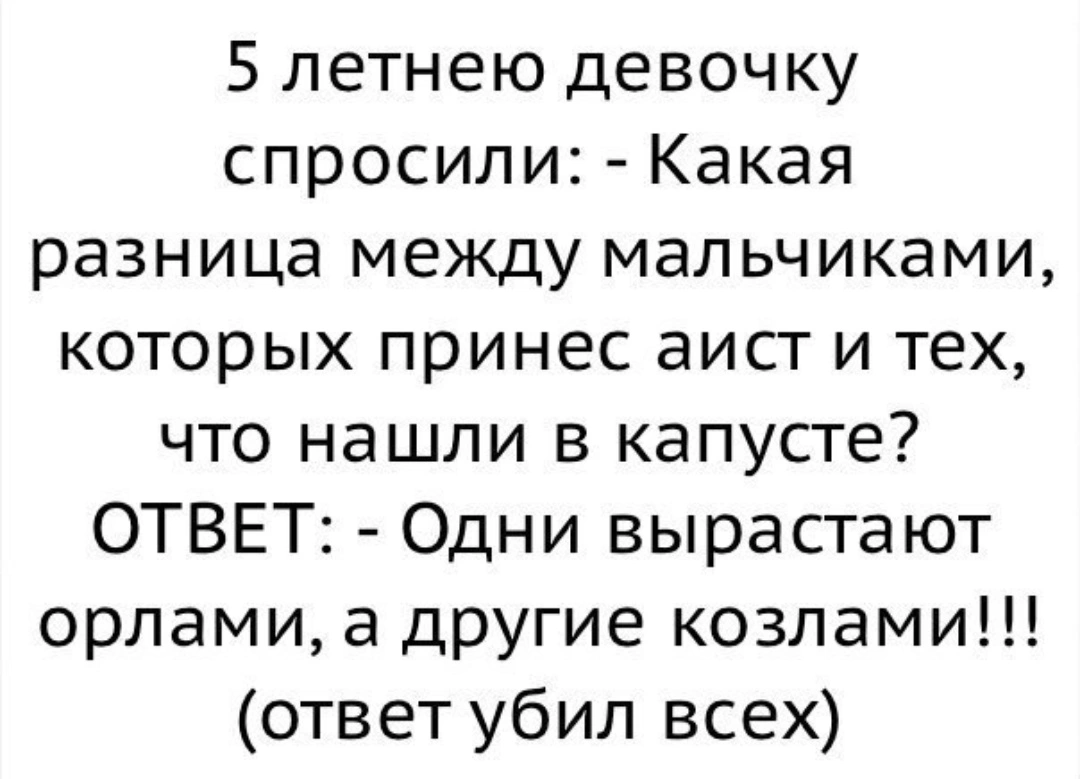 OLzxlMJq458.webp