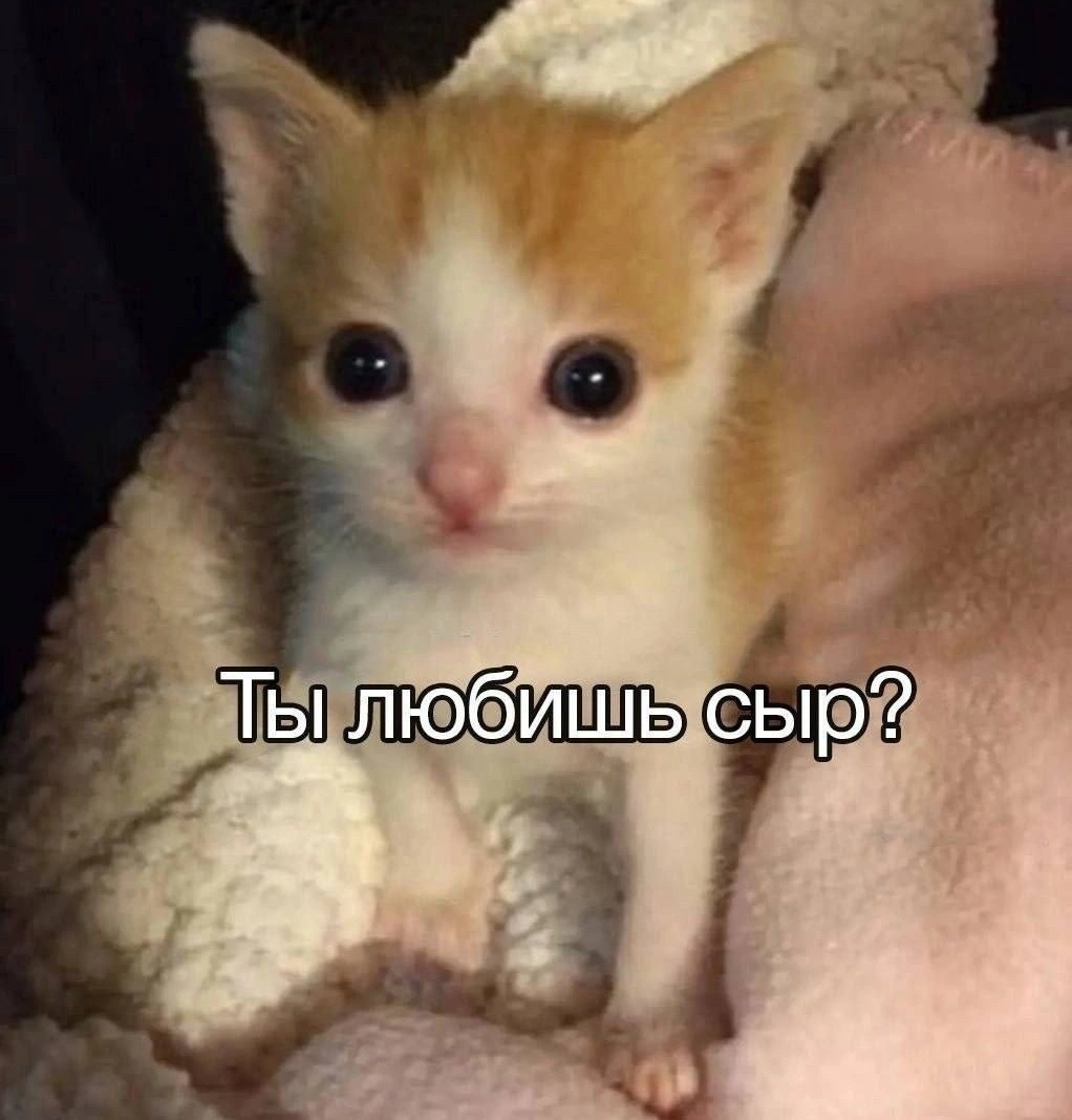 oofiJHP8KcR5J0_KaCjlMJrn4UmY5-yg9N1MQtDVx65yWF7cvagxfLasttLbXeO-_PQ-4y7Fth76eaOSKHvHKBa_.webp