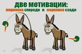 ookj3hn5.webp