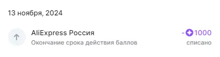 Opera Снимок_2024-11-13_132514_aliexpress.ru.webp