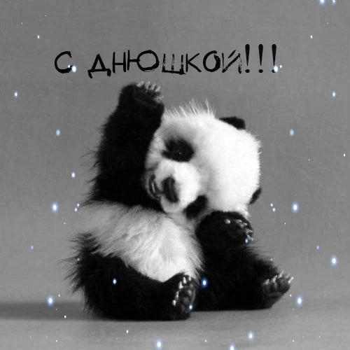 orig_2de7c0091c713494caafd3c4abdfd92a.webp