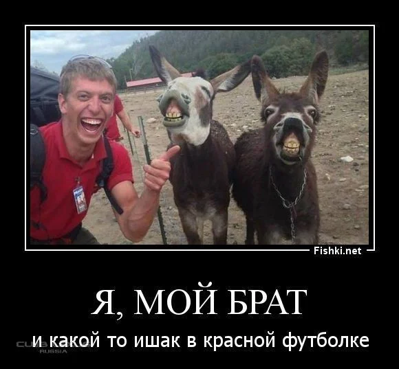 Осел брат.webp