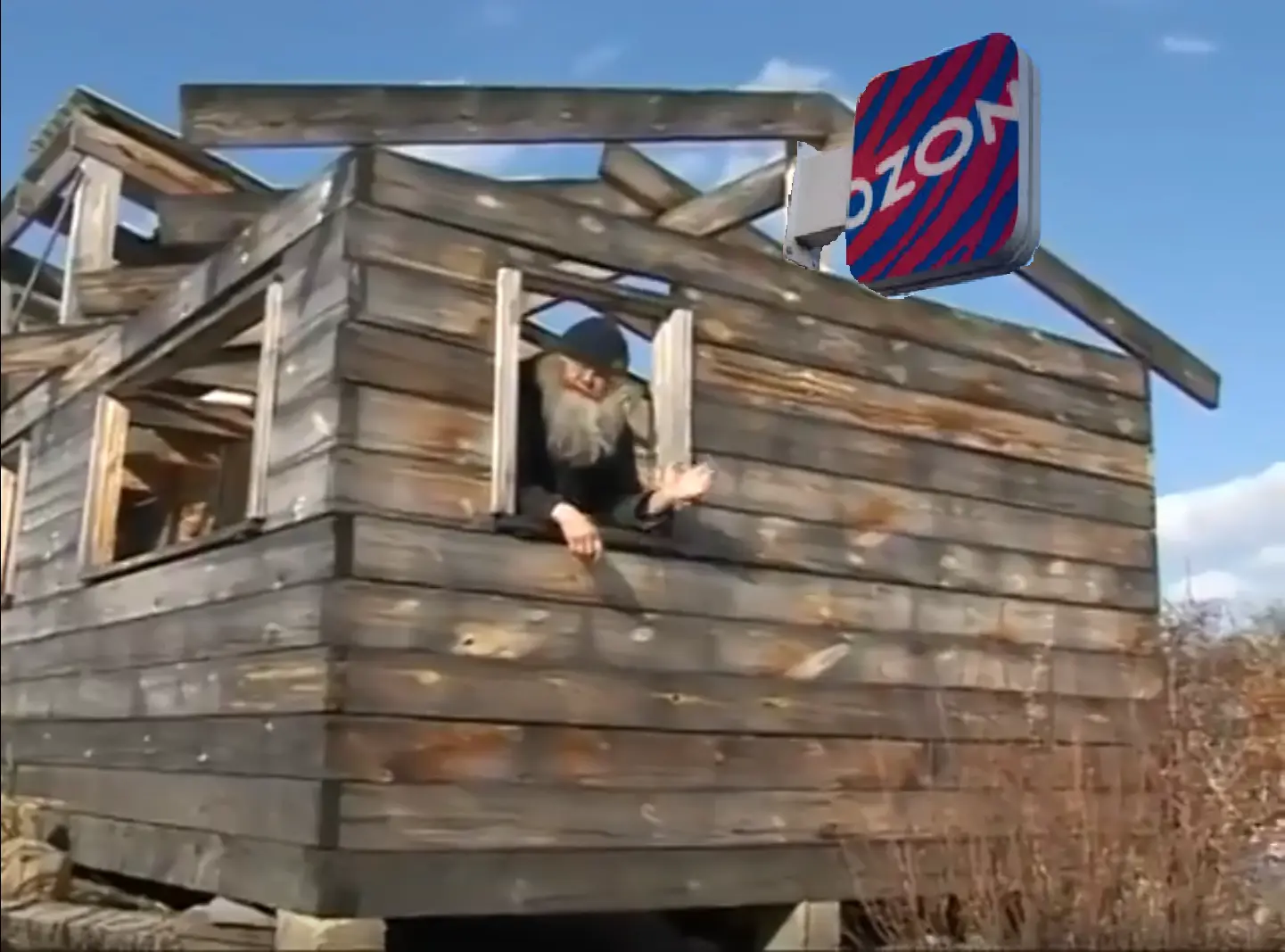 оззи.webp