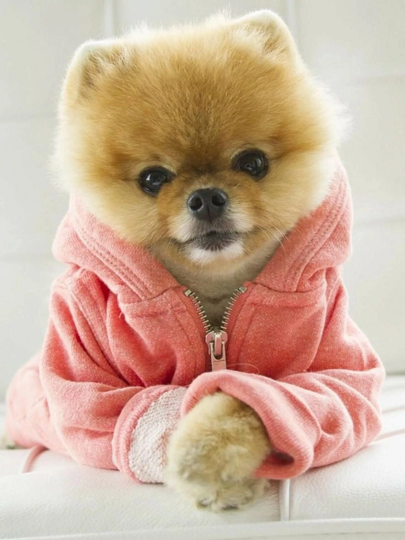 p7IoUKfz5Ok.webp