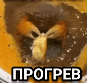 pascale-crab-ezgif.com-speed.gif