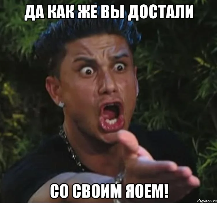 pauly-d_54838720_orig_.webp