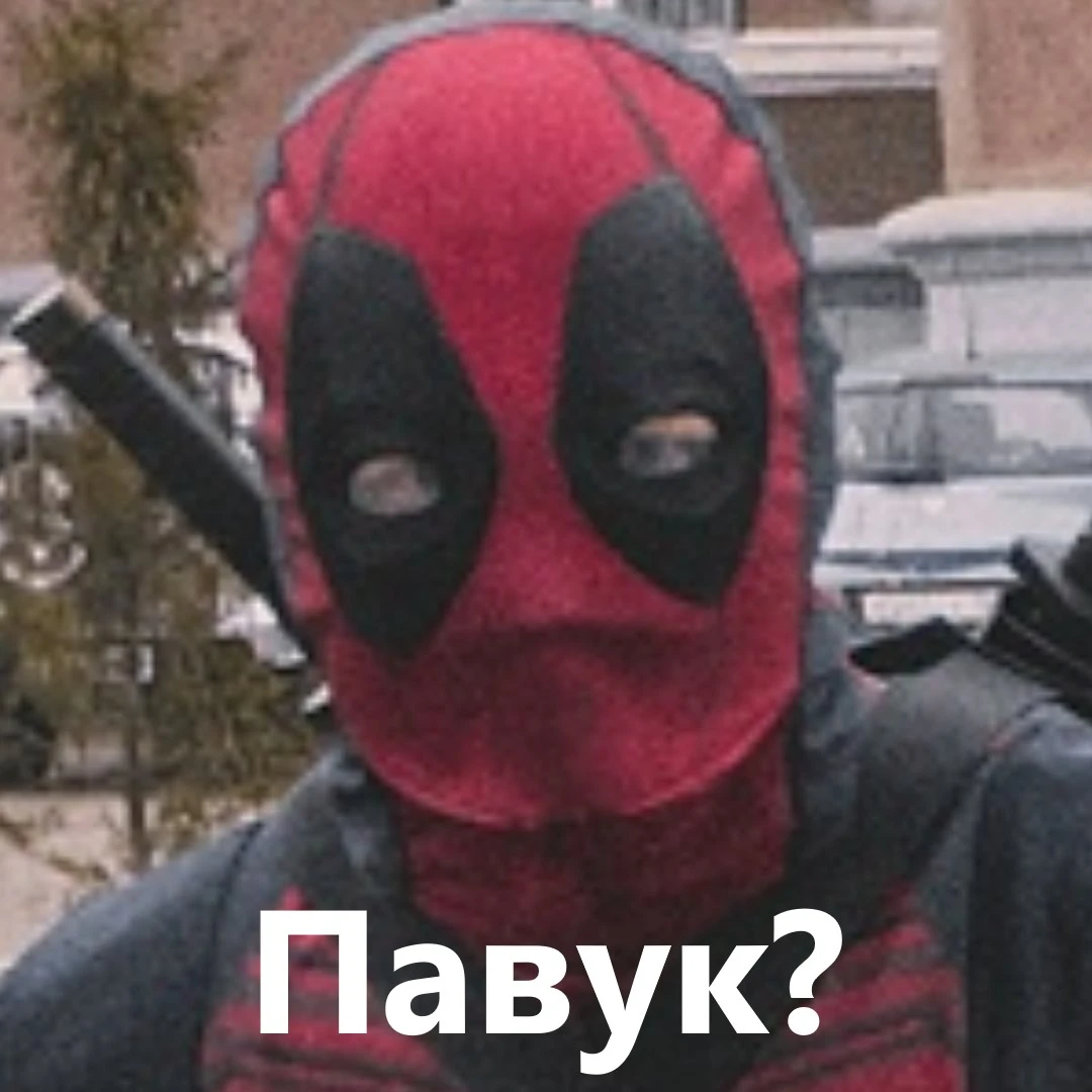 pavuk.webp