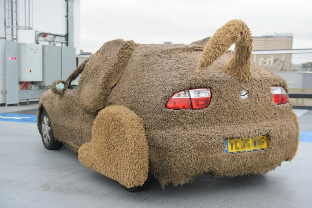 paw-some-a-car-62866-1068x713.webp