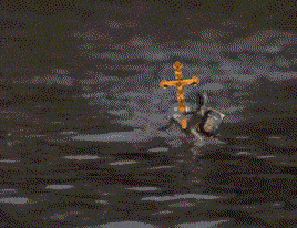 песочница-гифки-ящерица-раскаивание-91246.gif