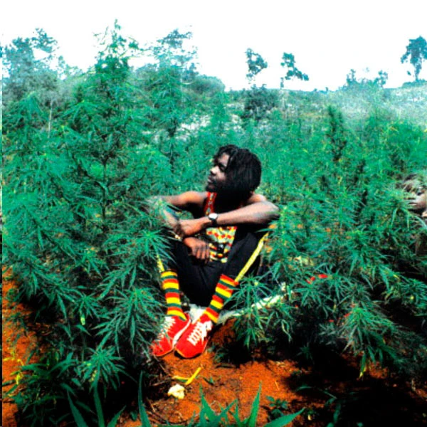 Peter Tosh.webp