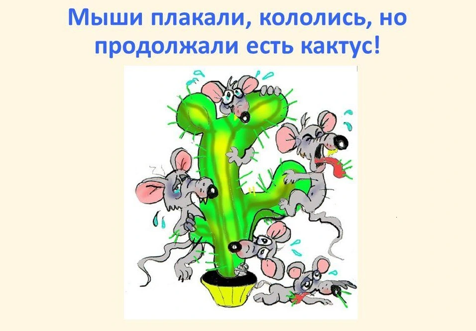 плакали-кололись-но-продолжали-жрать-кактус.webp