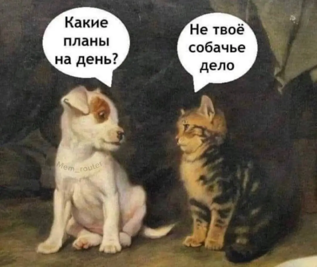 Планы на день.webp