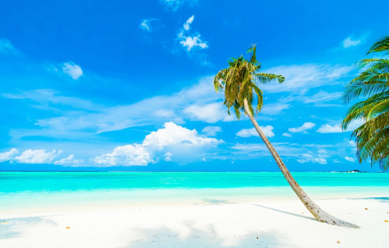 pliazh-leto-summer-tropiki-sand-more-pesok-sea-beach-tropica.webp