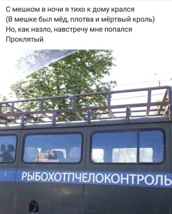 post-57408-1560186502_thumb.webp
