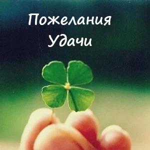 Pozhelaniya-udachi-v-stikhakh.webp