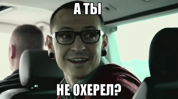 prdWfr4V_TE.webp
