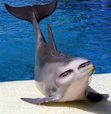 -PREm2RmKLQ.webp