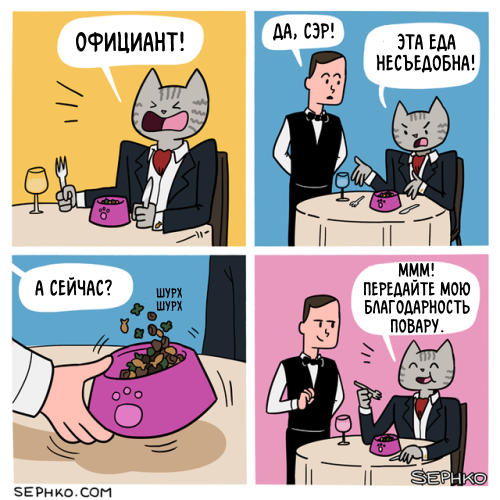 Приколы-для-даунов-разное-котэ-кормёжка-5352954.webp