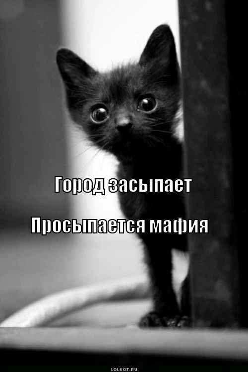prosypayetsya-mafiya_1359607919.webp
