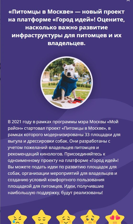 Пульс.webp