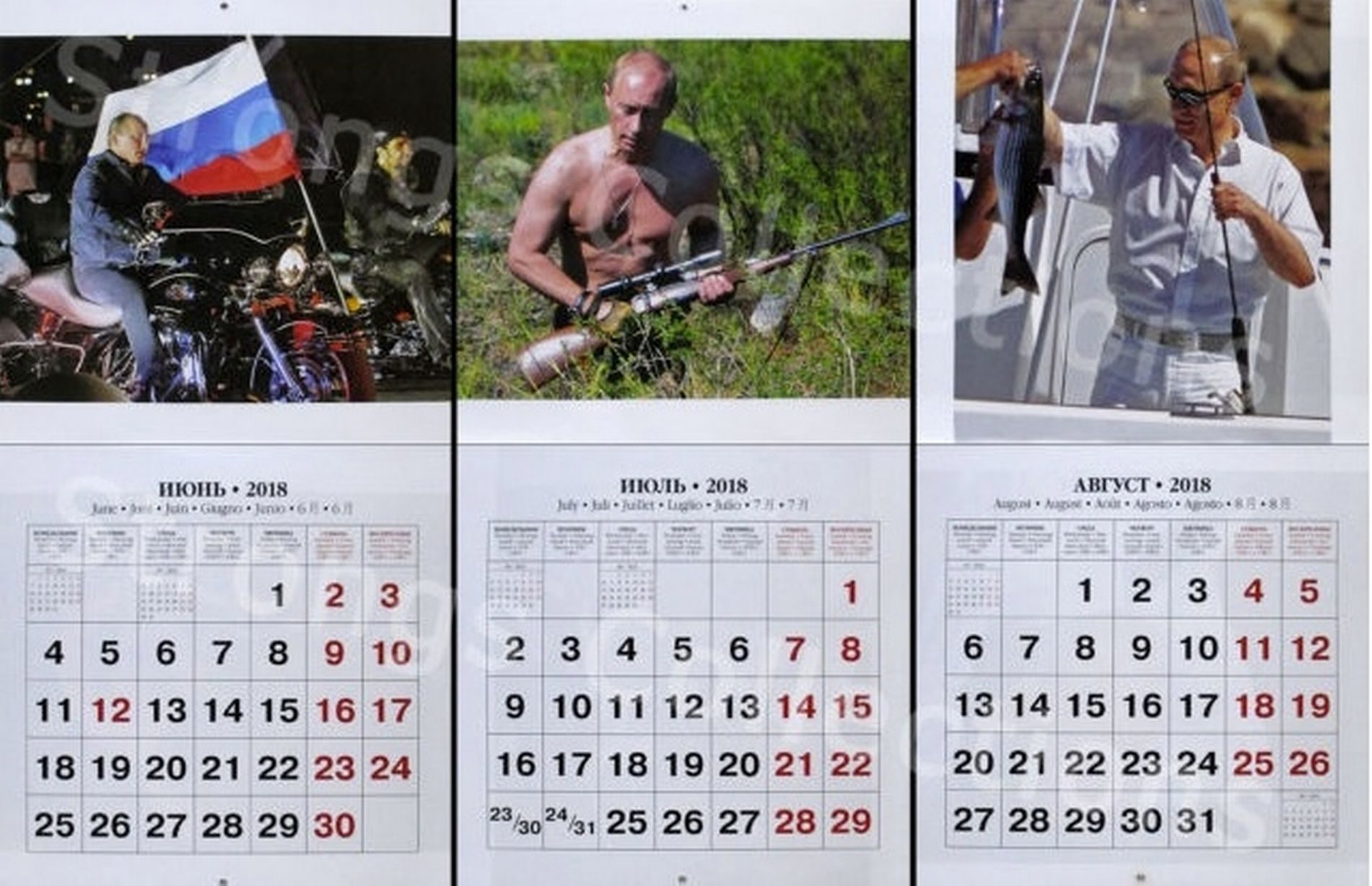 putin-calendar-1024x661@2x.jpg