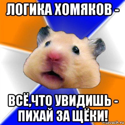 q4FvOnKILquma3WL9Lk6JX0JSTWVVd3AUbw1sUhyJiQZ_w9LN6RKdZqC6gbDxVoXEFCizDHdJht9UmbGqaPqj1lz.webp