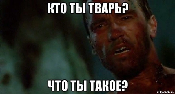 Qi74E8OO2kw.webp
