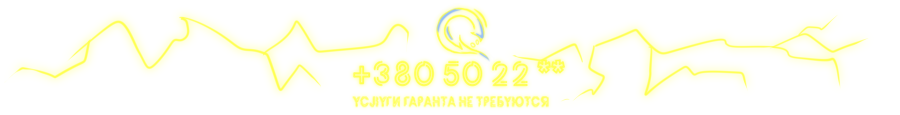 Qiwi.png