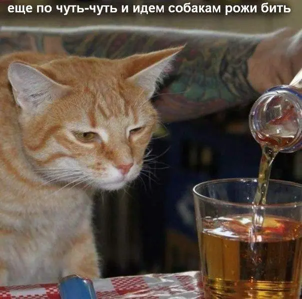 r.webp