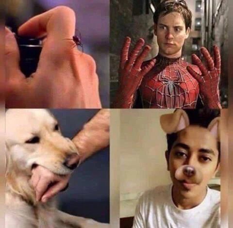 r59LCqOqjDs.webp