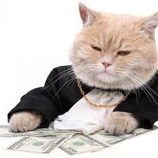 rich_cat.jpg