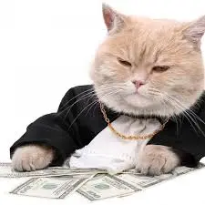 rich_cat.webp
