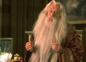 Richard_Harris_as_Albus_Dumbledore.webp