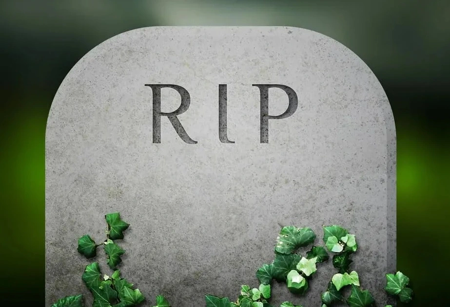 Rip.webp